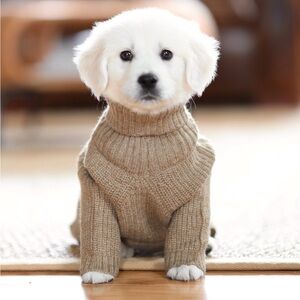Puppy sweater